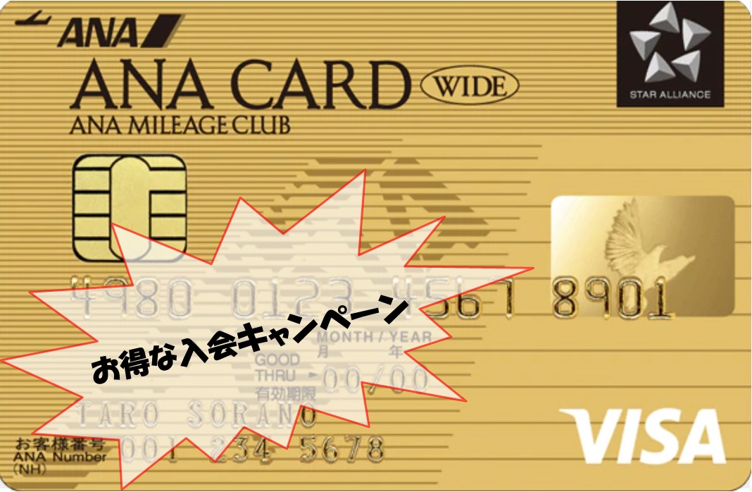 2020年2月最新 Ana Visa ワイドゴールドカードのお得な入会方法 最新